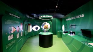 Dia das Crianças: 12 museus em SP com programação especial