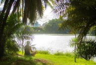 São Paulo ganha guia pet friendly com parques, restaurantes e shoppings