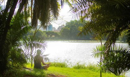 São Paulo ganha guia pet friendly com parques, restaurantes e shoppings
