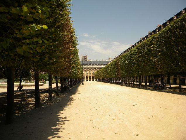 Árvores enfileiradas em frente ao Palais Royal, em Paris / Wikimedia Commons