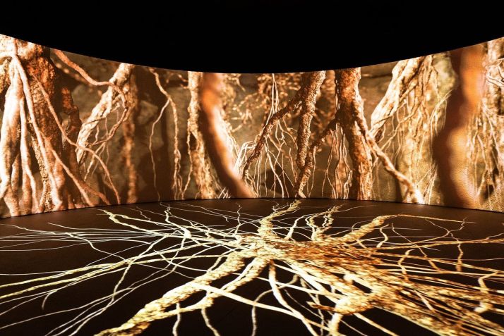Jardim Botânico inaugurou museu em março de 2024 e usará espaço para exposições imersivas / Reprodução/site