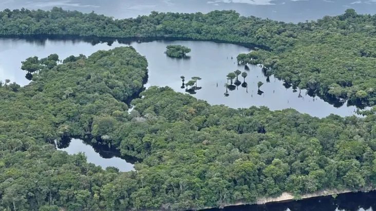 Partes da vegetação e do rio a partir de uma visão aérea do Parque Nacional de Anavilhanas / Daniela Filomeno