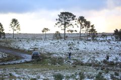 Neve espalhada pelo chão no fim da tarde, próximo a uma estrada