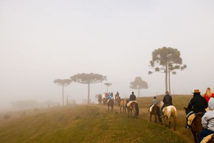 Fila de cavalos levando pessoas em passeios