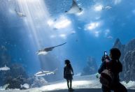 Verão europeu: 10 programas para fazer com crianças em Lisboa