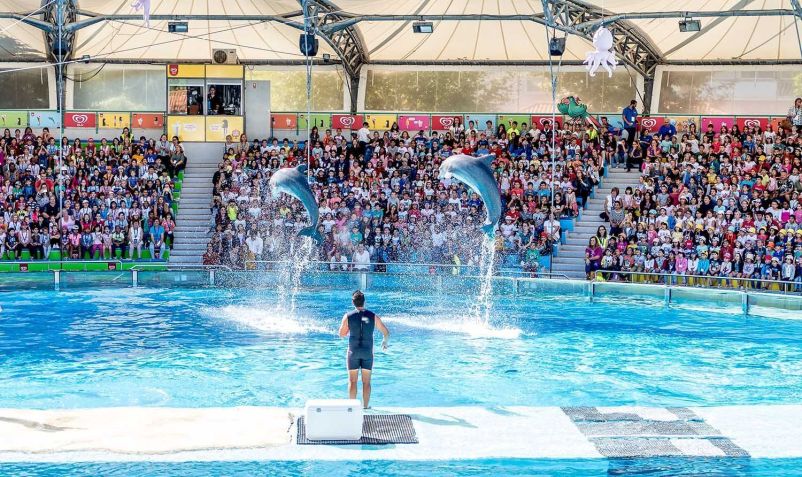 Os golfinhos do zoológico de Lisboa fazem sucesso entre as mais de 300 espécies habitantes / Turismo Lisboa