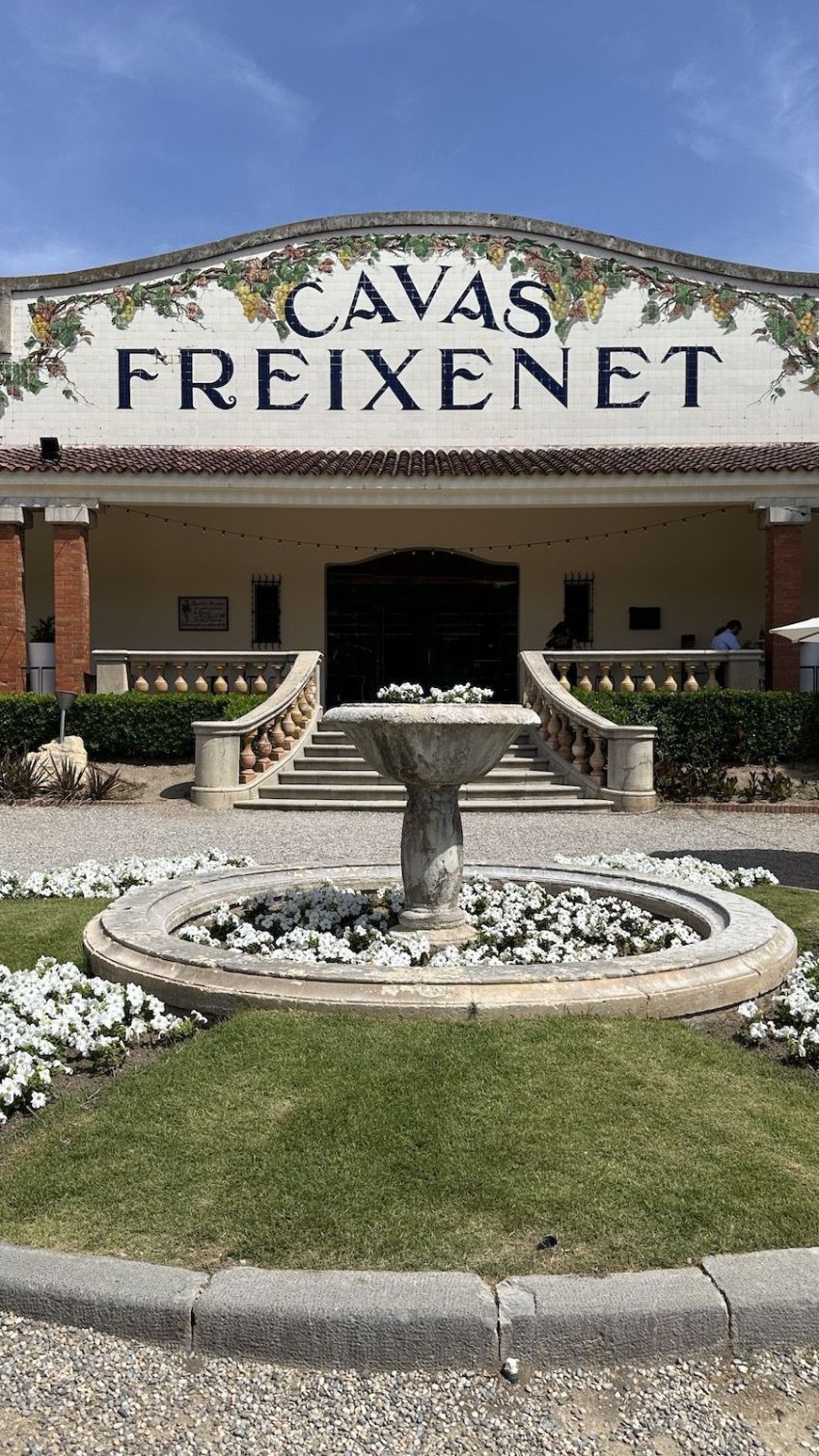 Casa museu da Freixenet tem café/ bar com direito a pequenas porções para compartilhar enquanto degusta uma taça de cava / Tina Bini