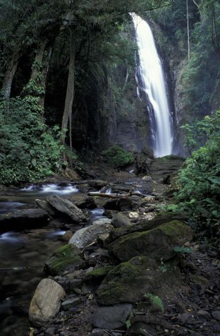 Cachoeira no Vale do Ribeiro, na parte de São Paulo / Ricardo Siqueira/Brazil Photos/LightRocket via Getty Images