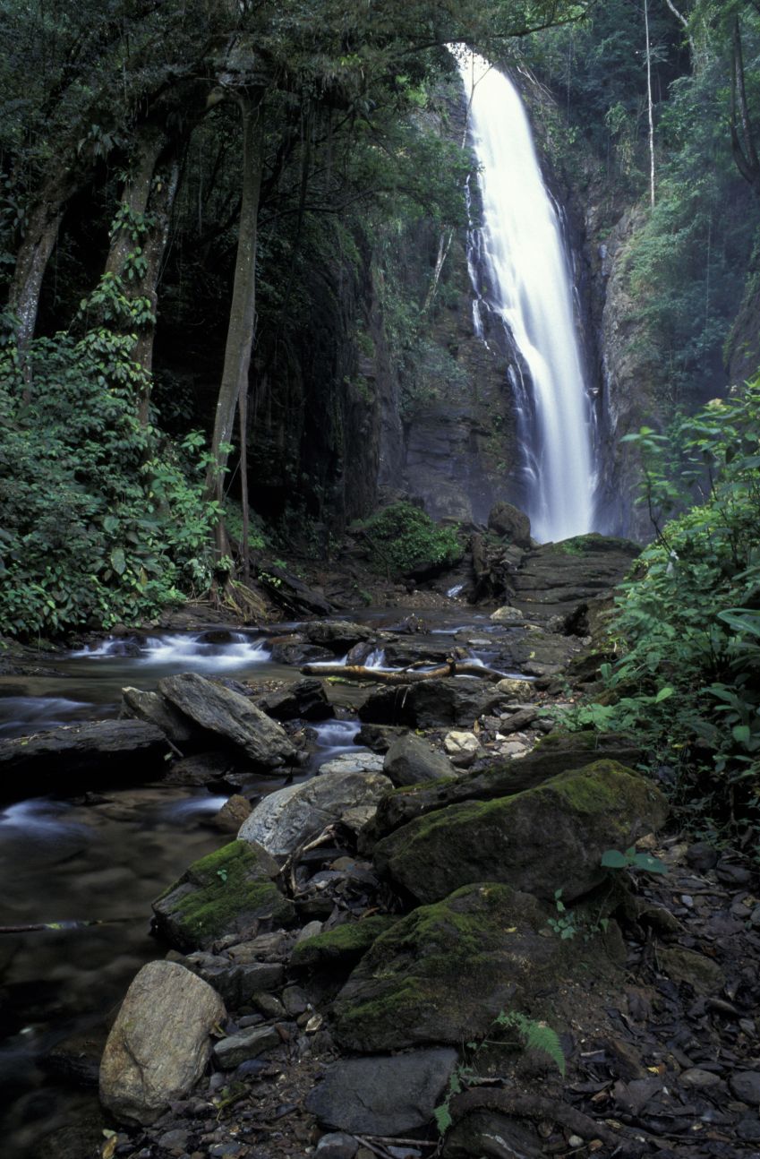Cachoeira no Vale do Ribeiro, na parte de São Paulo / Ricardo Siqueira/Brazil Photos/LightRocket via Getty Images