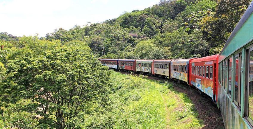 Trem da Serra do Mar Paranaense é ideal para desfrutar de belas paisagens / Divulgação/Serra Verde Express