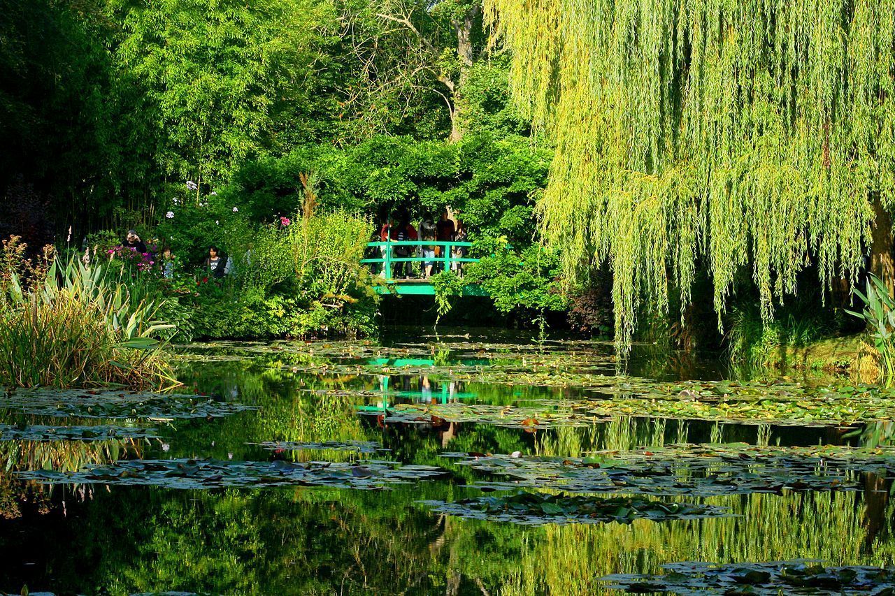 Lagoa de lírios d'água em Giverny foi uma das paisagens pintadas por Monet • Wikimedia Commons