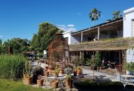 Conheça a cidade de Carmelo, o paraíso do enoturismo no Uruguai