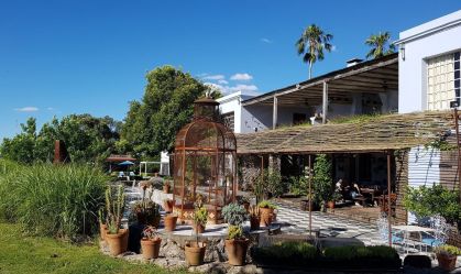 Conheça a cidade de Carmelo, o paraíso do enoturismo no Uruguai