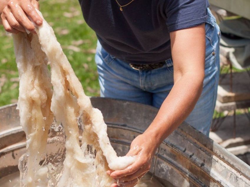 Etapa do aproveitamento de lã no projeto "Mãostiqueiras" • Divulgação/Parque da Lagoinha