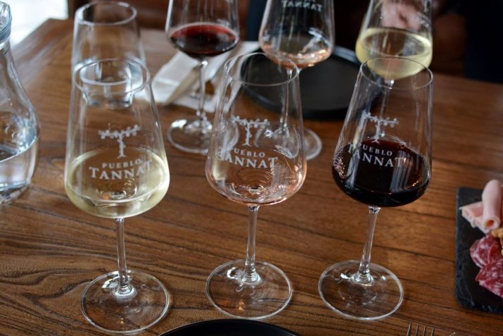 Pueblo Tannat, a caçula das vinícolas da região, teve sua estrutura para degustação inaugurada em 2024 • Giuliana Nogueira