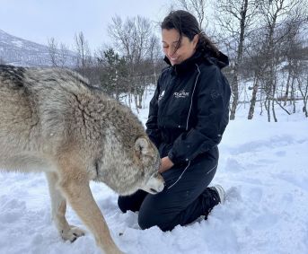Daniela Filomeno junto de lobo no Polar Park, na Noruega
