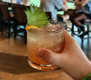 Drinque alcóolico do Nomad Lounge, bar no Disney&#039;s Animal Kingdom