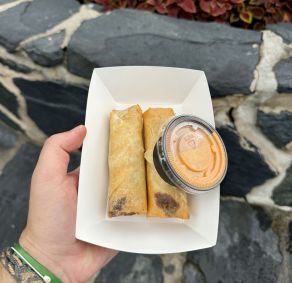 Rolinhos primavera do Spring Roll Cart, no Magic Kingdom Park