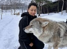 Daniela Filomeno ao lado de lobo em parque no norte da Noruega