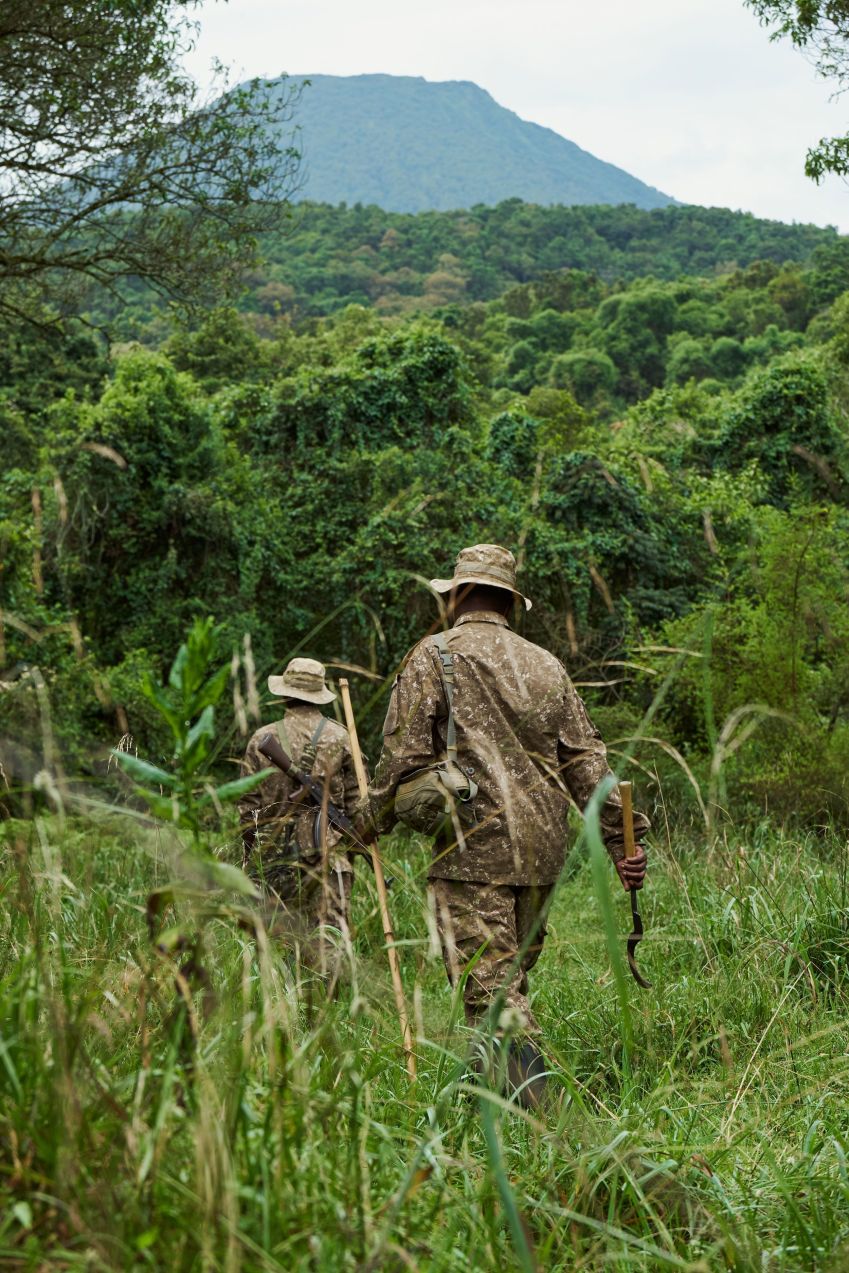 O Mount Gahinga Lodge da Volcanoes Safaris é usado como base para trilhas de rastreamento de gorilas • Volcanoes Safaris via CNN Newsource