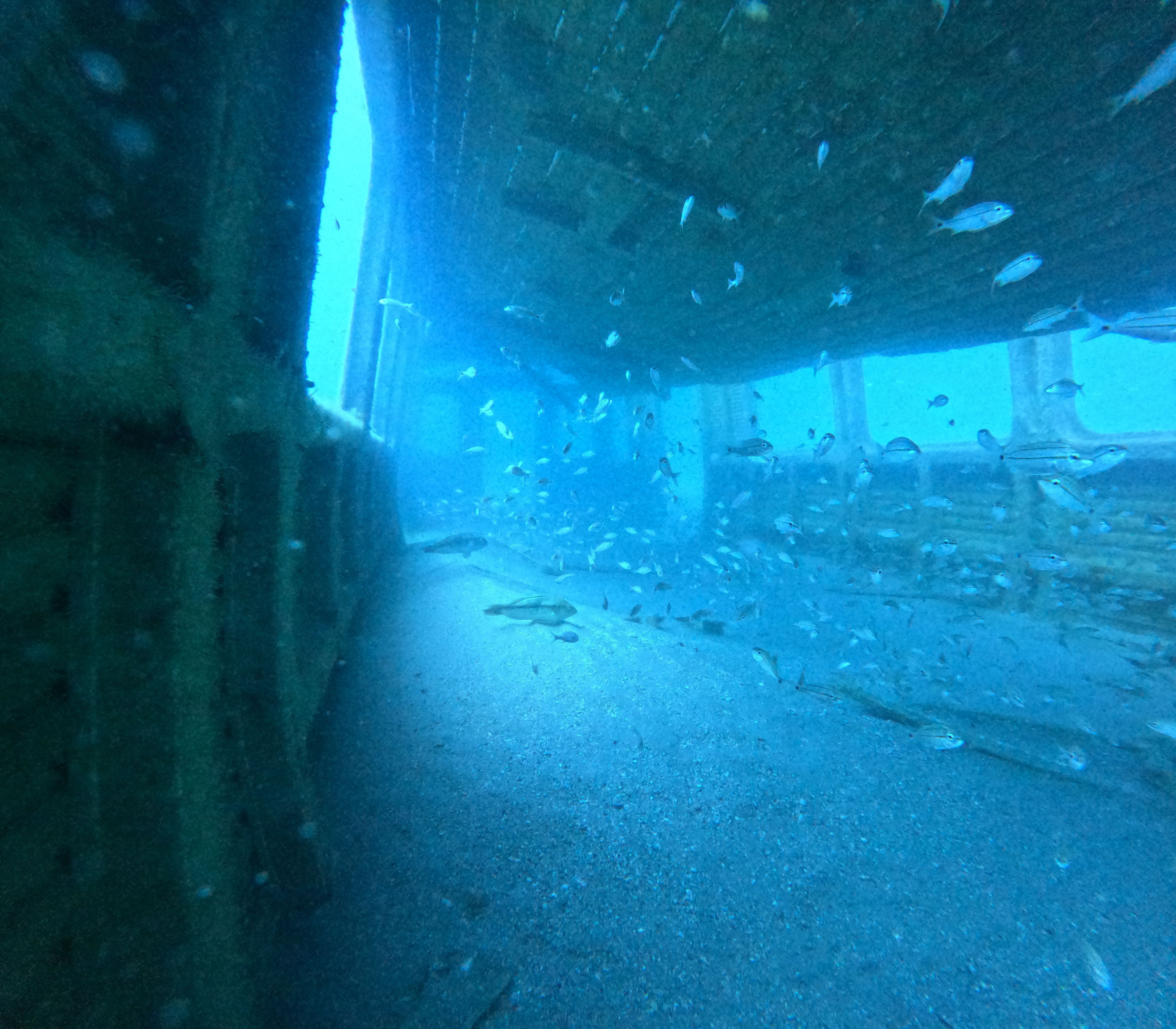 Vagões submersos