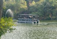 Zoo de SP inaugura passeio de barco em lago vizinho à área dos primatas