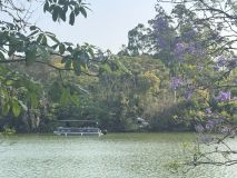 Passeio Acqua Safári em lago do Zoológico de São Paulo