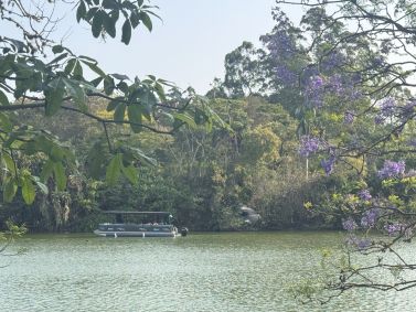 Passeio Acqua Safári em lago do Zoológico de São Paulo