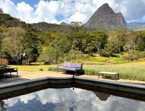 Detalhes da natureza ao redor da Casa Marambaia, hotel boutique na serra do Rio de Janeiro