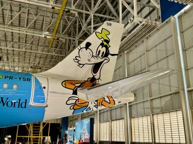 Cauda do avião do Pateta da Azul