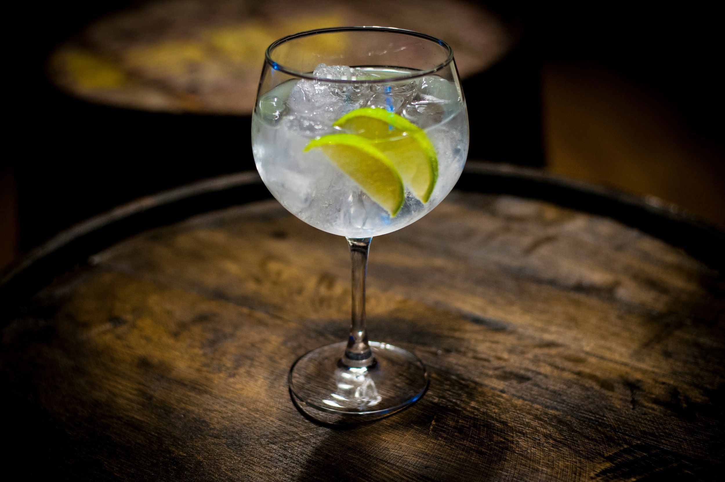 Dia Gin Tonica historia do drinque