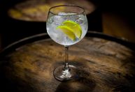 Dia do Gin tônica: da medicina ao coquetel icônico que conquistou o mundo