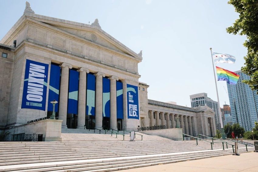 O museu de história natural de Chicago abriga mais de 20 milhões de espécies em coleção, desde os primeiros fósseis até culturas passadas e atuais do mundo todo • Reprodução site