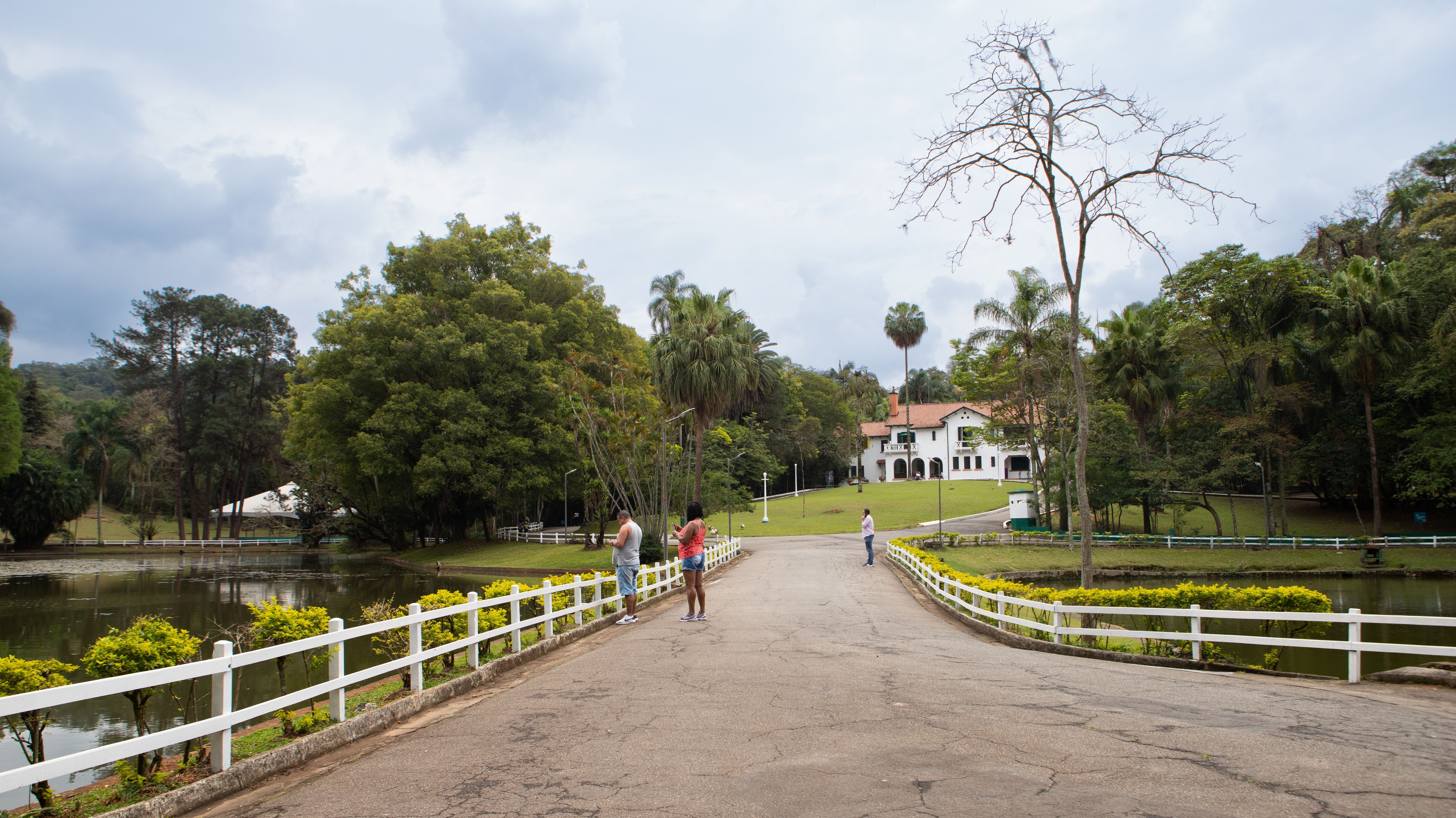 O Parque Horto Florestal tem atividades que envolvem até carrinho rolimã • Divulgação/Urbia Parques