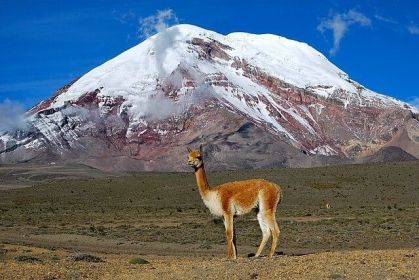 Monte Chimborazo