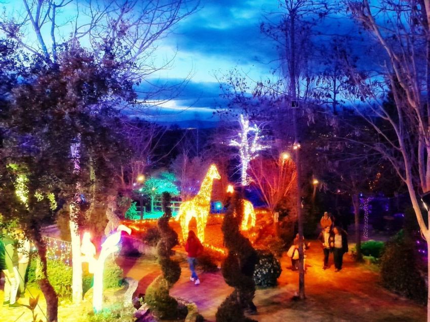 El Bosque Encantado tem show de luzes, labirintos e estátuas feitas com plantas • Divulgação/El Bosque Encantado