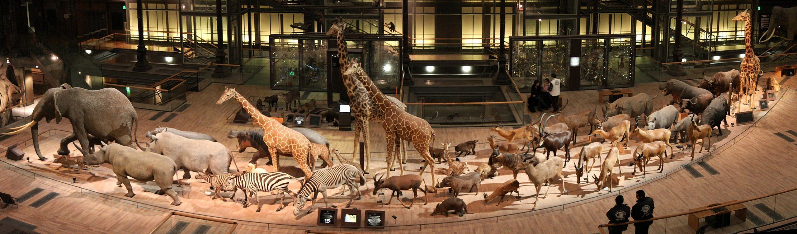 Grande Galeria da Evolução, no Jardin des Plantes • Wikimedia Commons