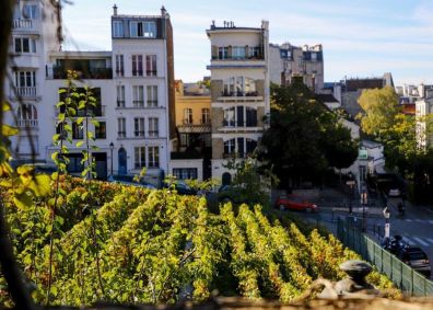 Clos Montmartre
