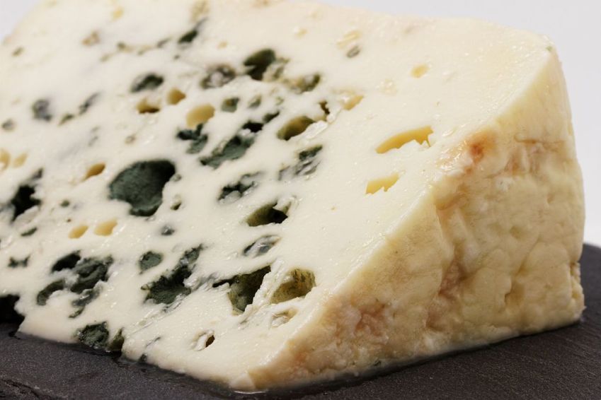 Queijo Roquefort é feito com leite de ovelha cru e integral no coração da Occitânia • Wikimedia Commons