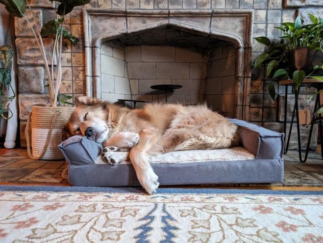 O novo livro de memórias de Turcich, "The World Walk", inclui uma mensagem especial para Savannah • Tom Turcich.