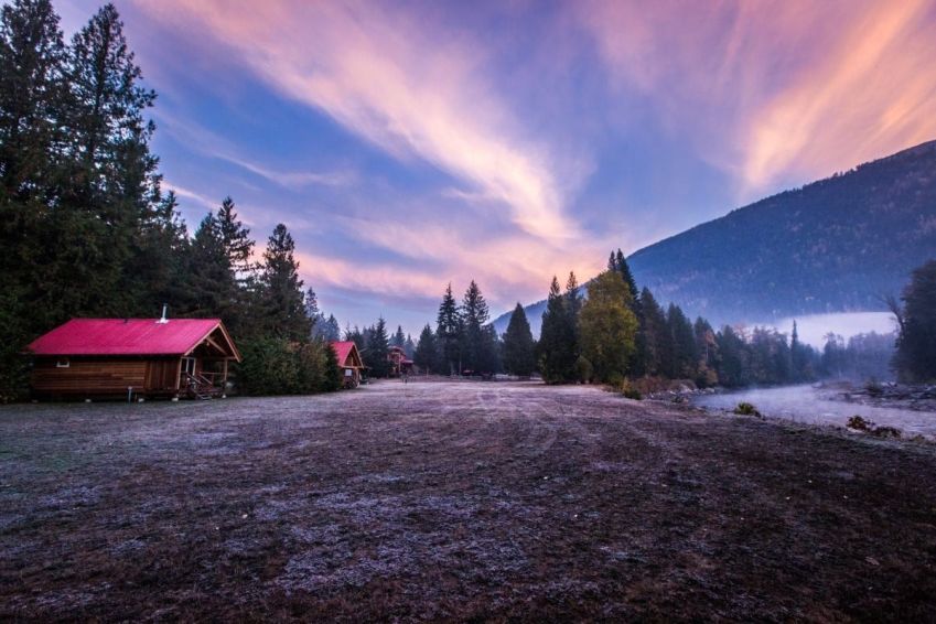 Wild Bear Lodge oferece passeio específico para avistar ursos • Divulgação/Wild Bear Lodge