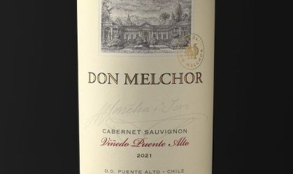 Vinho chileno é eleito o melhor do mundo em 2024 pela Wine Spectator