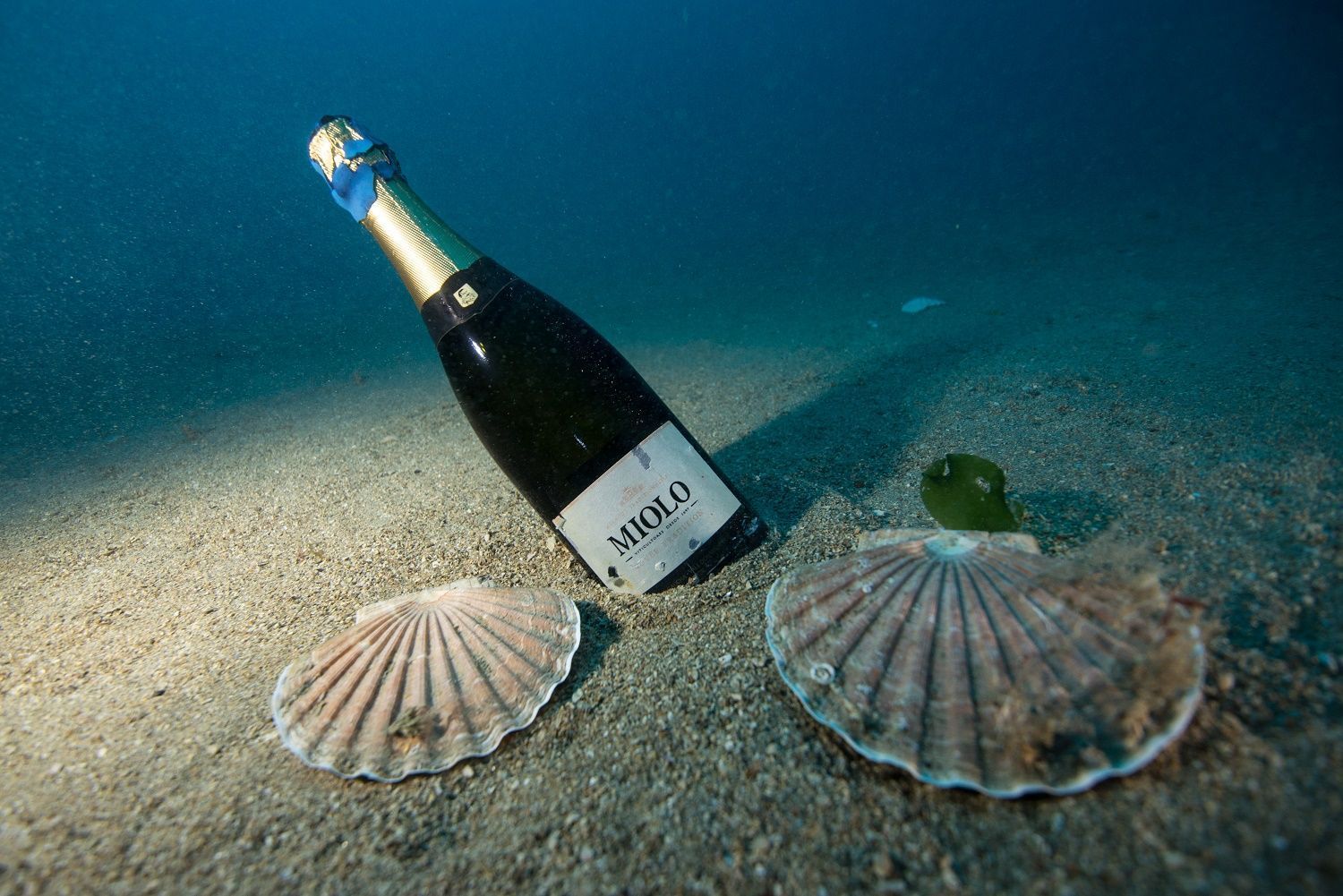 Miolo Cuvée Under The Sea imerso no mar da França