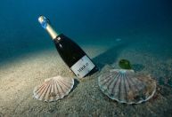 Espumante brasileiro submerso na França chega ao mercado por R$ 3.500