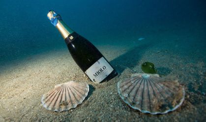 Espumante brasileiro submerso na França chega ao mercado por R$ 3.500