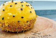 Queijo brasileiro está entre os 10 melhores do mundo em competição internacional