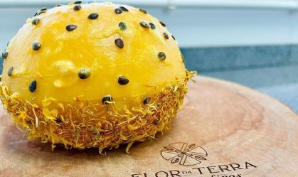 Queijo brasileiro está entre os 10 melhores do mundo em competição internacional