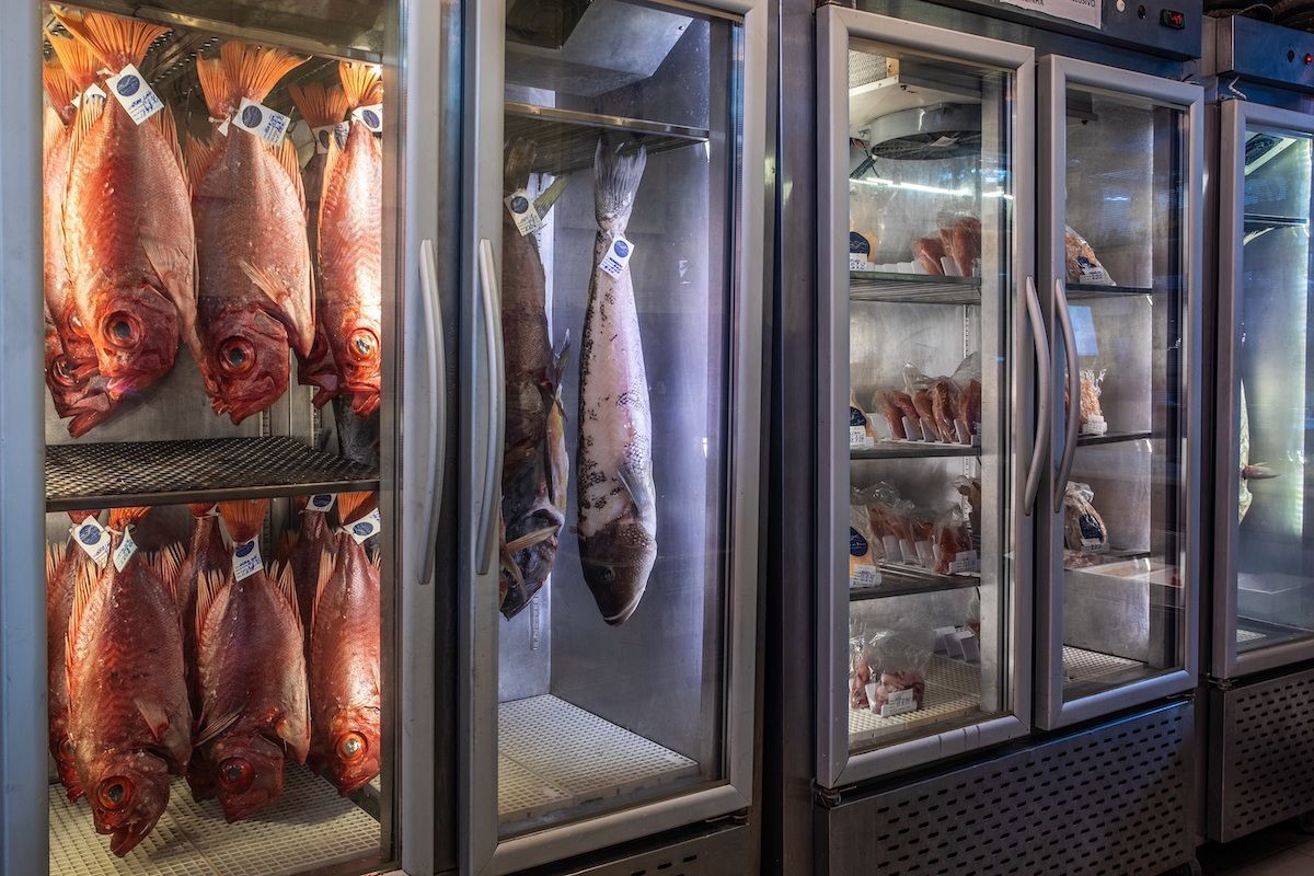 Vitrine dos peixes do Sabor das Águas • Tomas Rangel