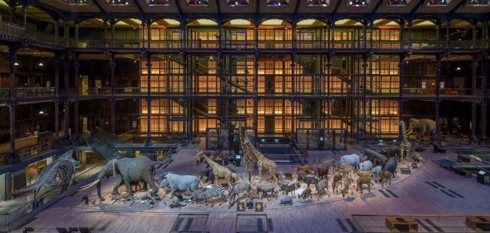 Galerie de L'Évolution fica dentro do Museu de História Natural, em Paris • Divulgação/Galerie de L'Évolution