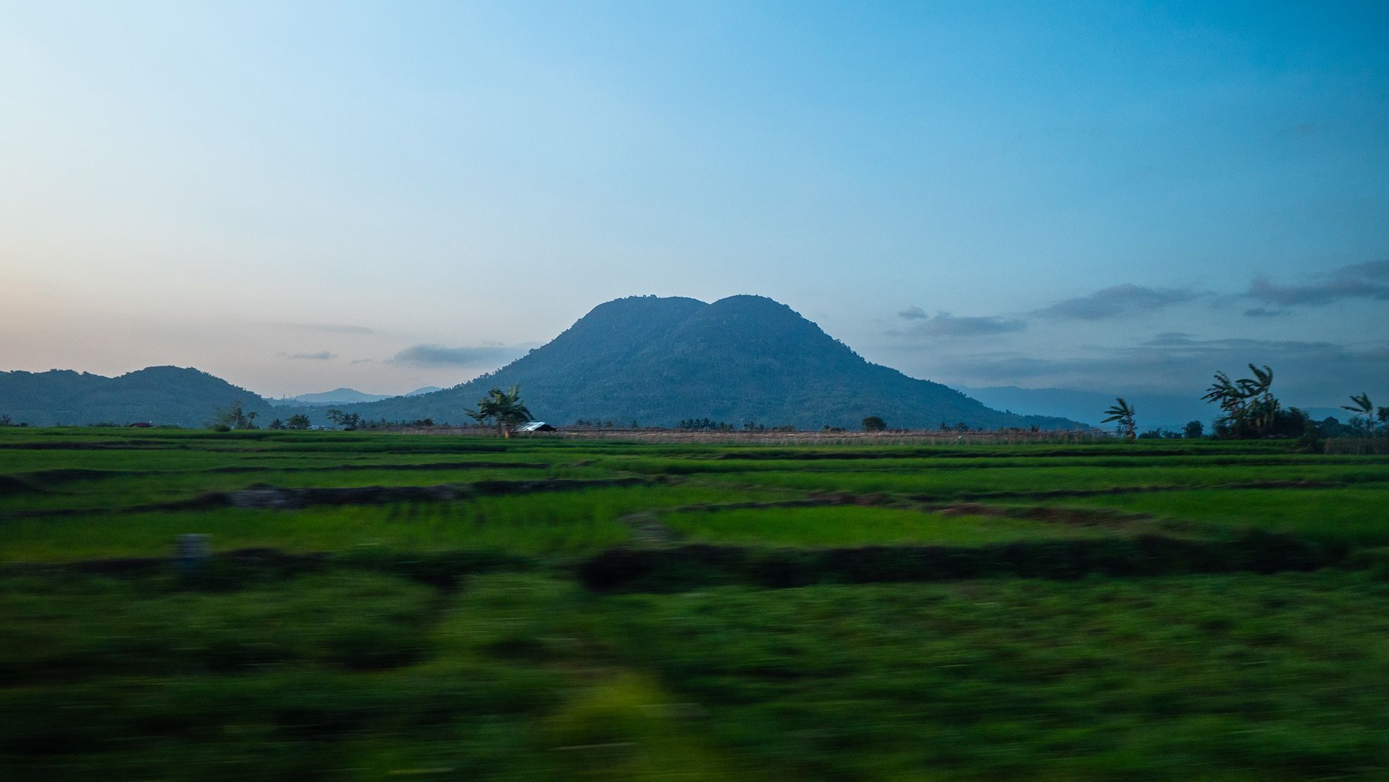 trem panorâmico Argo Wilis